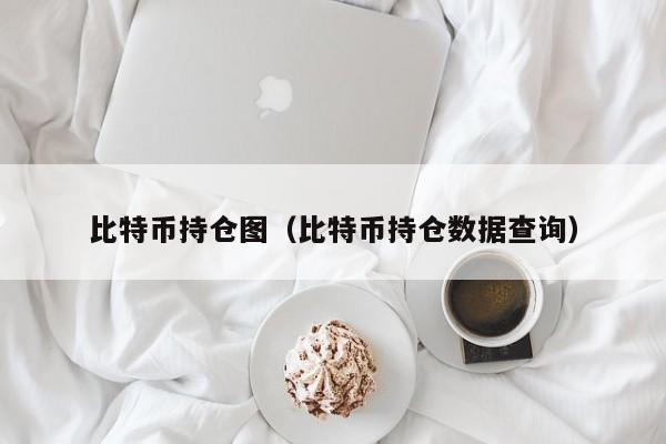 比特币持仓图(比特币持仓数据查询)