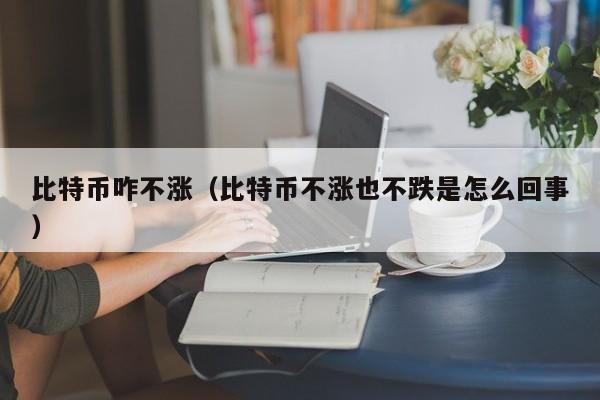 比特币咋不涨(比特币不涨也不跌是怎么回事)