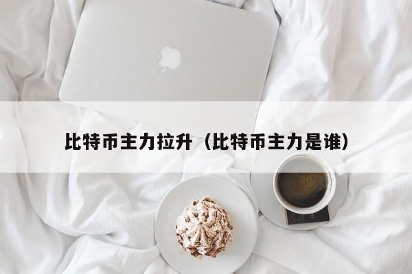 比特币主力拉升(比特币主力是谁)