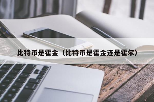比特币是霍金(比特币是霍金还是霍尔)