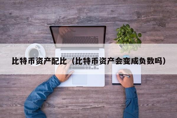 比特币资产配比(比特币资产会变成负数吗)