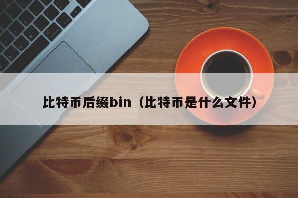 比特币后缀bin(比特币是什么文件)