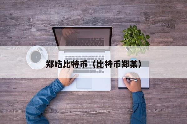 郑皓比特币(比特币郑某)
