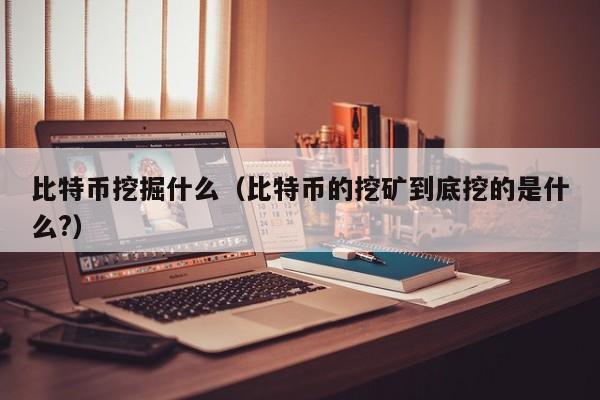 比特币挖掘什么(比特币的挖矿到底挖的是什么?)