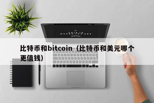 比特币和bitcoin(比特币和美元哪个更值钱)