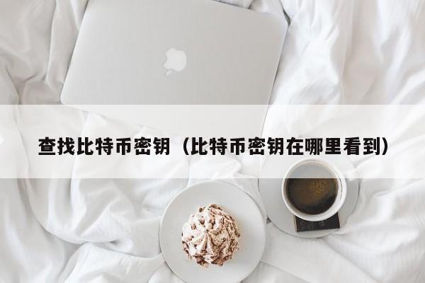 查找比特币密钥(比特币密钥在哪里看到)