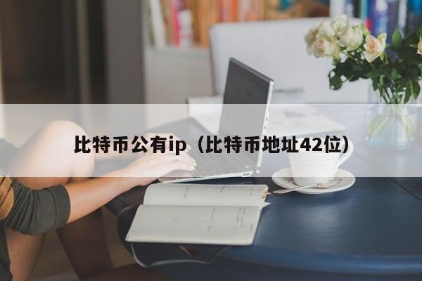 比特币公有ip(比特币地址42位)