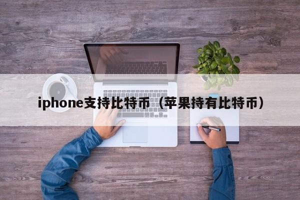 iphone支持比特币(苹果持有比特币)