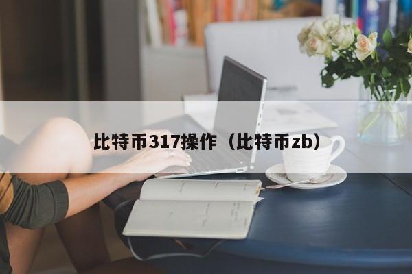 比特币317操作(比特币zb)