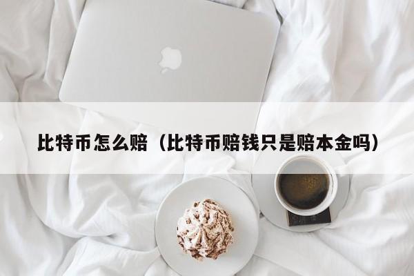 比特币怎么赔(比特币赔钱只是赔本金吗)