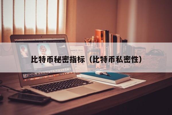 比特币秘密指标(比特币私密性)