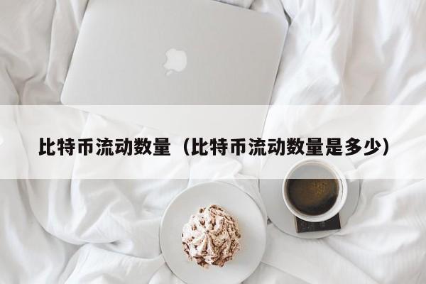 比特币流动数量(比特币流动数量是多少)