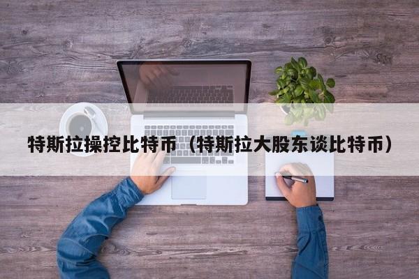 特斯拉操控比特币(特斯拉大股东谈比特币)